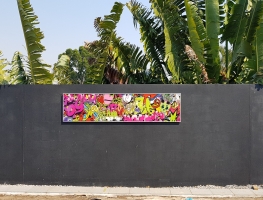 Graffiti Printed Wall Art by Graphic Glass Services Qld