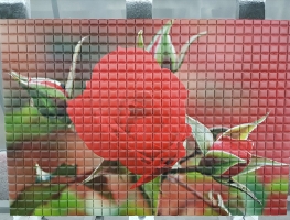Digital Printed Red Rose on Mosiac Tiles by Graphic Glass Services Qld