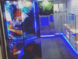 Digitally Printed PET Film Laminated Glass Door