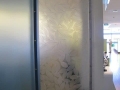 Laminated Glass Feature Panel by Graphic Glass Services Qld