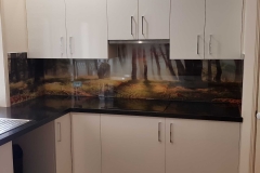 Glass Digital Printed Splashback - Suns Rays Seen Through the Trees