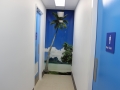 CQU Rockhampton Digital Print in Hallway by Graphic Glass Services Qld