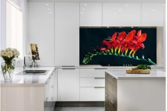 Prints on Glass