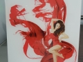 Lady in Red Digital Printed on Glass Panel by Graphic Glass Services Qld