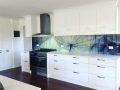 Digitally Printed Dandelion Glass Splashback by Graphic Glass Services