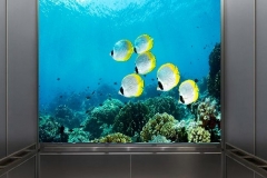 Digital Printed Toughened Glass for Lift Cars