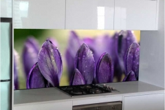 Purple Tulip Digital Printed Glass Splashback