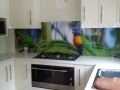 Digitally Printed Bird Glass Splashback by Graphic Glass Services