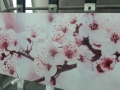 Digitally Printed Pink Blossom Image to Glass by Graphic Glass Services Qld