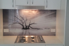 Dead Tree Image Printed on Glass Splashback