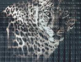 Digital-Printed-Interlayer-with-Narrow-Reed-Glass