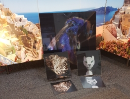 Digital-Printed-Laminated-Mirror-by-Graphic-Glass-Services