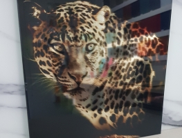 Digital-Printed-Pet-Film-Interlayer-with-mirror-by-Graphic-Glass-Services