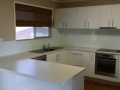 Colourback Glass Splashback by Graphic Glass Services Qld