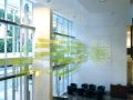 Glass Hanging Feature by Graphic Glass Services Qld
