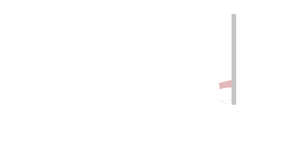 canvas image