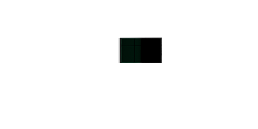 canvas image