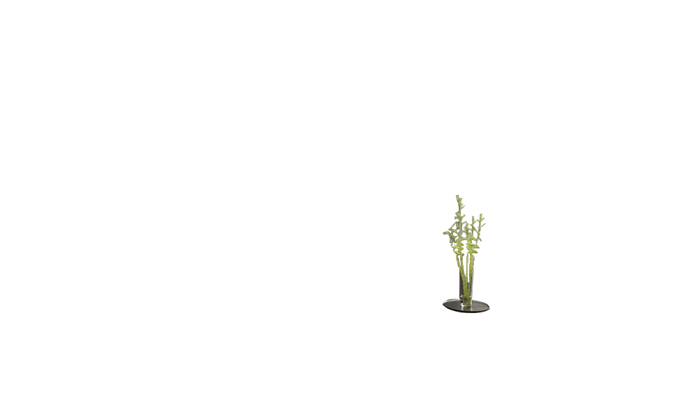 canvas image