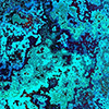 Grunge Splashback 131